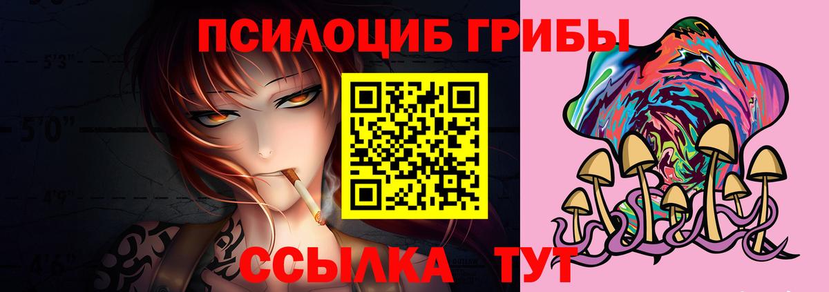 Бошки Шишки Бузулук
